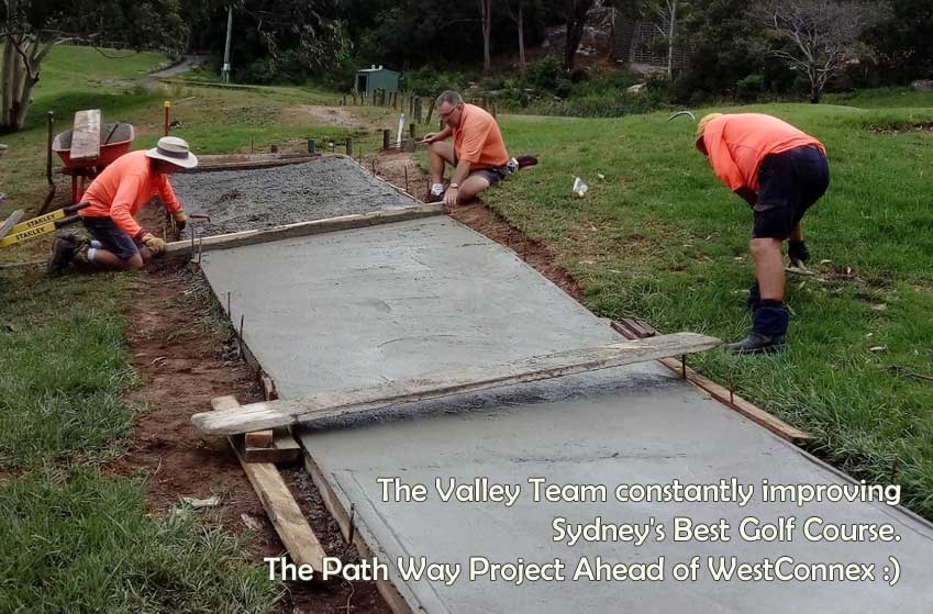 the path way project ahead of westconnex